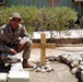 Navy Sailor Honors Fallen Marine Comrade at Memorial