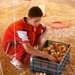 Iraqi Family Restores Chicken Farm with U.S. Aid