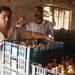 Chicken Farmers Receive Chick Delivery to Restart Poultry Farms in Iraq