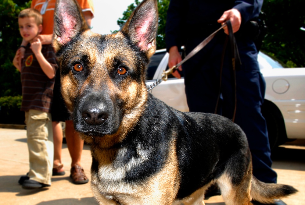 Defense Department Working Dog Alma Greets Children at Take Our Daughters and Sons to Work Day
