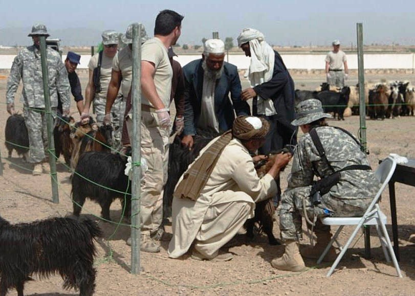 Veterinarian Teaches Goat Herder Deworming Techniques at Farah Fire Base