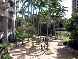 Guests Stroll Through Tropical Foliage to Waikiki Beach at Hale Koa Hotel
