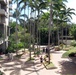 Guests Stroll Through Tropical Foliage to Waikiki Beach at Hale Koa Hotel