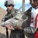 Army Veterinarian Examines Donkey at Iraqi Brick Factory