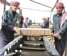Brick Factory Workers in Iraq Toil with Donkey-Drawn Carts