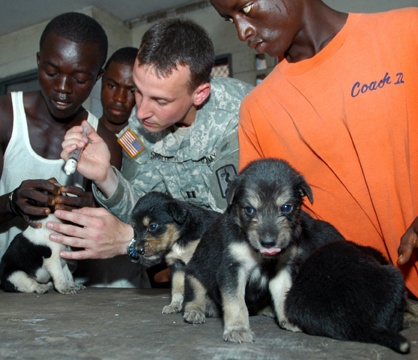 Army Veterinarian Treats Puppies in Medical Battalion