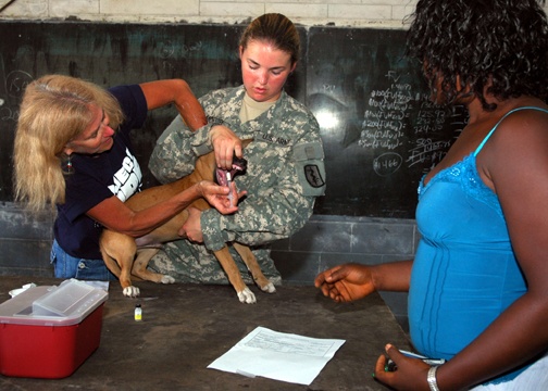 Volunteers Administer Deworming Medication to Protect Puppy and People