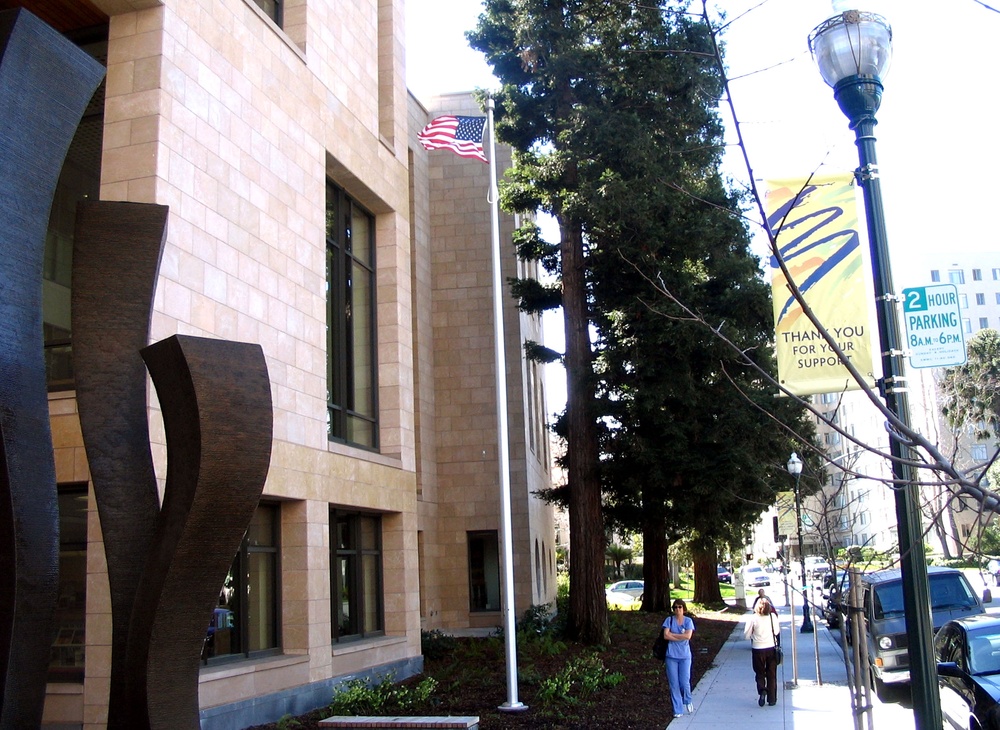 Patriotic Gesture: 101st Airborne Unit Donates Iraqi War-Flown Flag to San Mateo Library