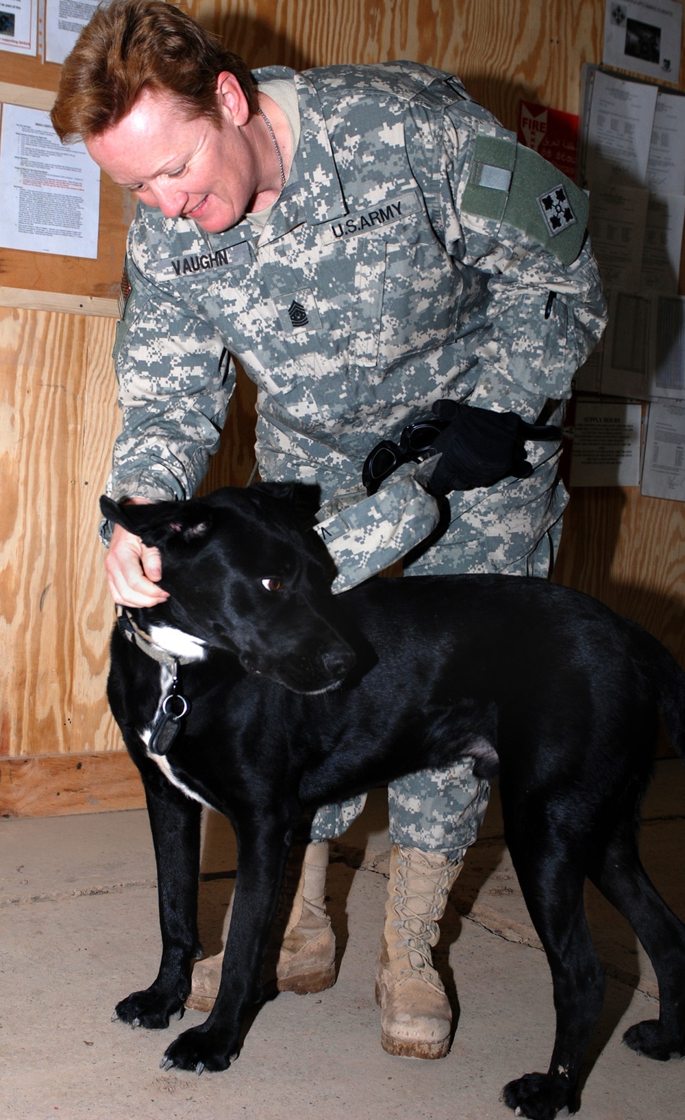 Army Command Sgt. Maj. Bonds with Battalion Chaplain's Therapy Dog in Iraq