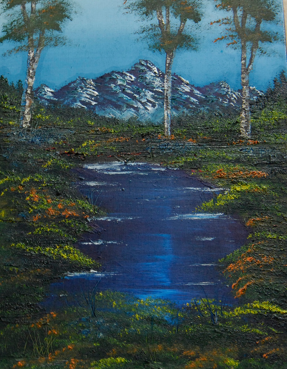 Airman's Artistry Uplifts Hearts: Sommers Donates Painting Proceeds to Children's Heart Surgeries