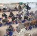 Afghans Learn Tool Use at Labor Workshop in Paktika Province