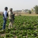 Inma Agribusiness Program and U.S. Navy Collaborate to Revive Iraqi Agriculture