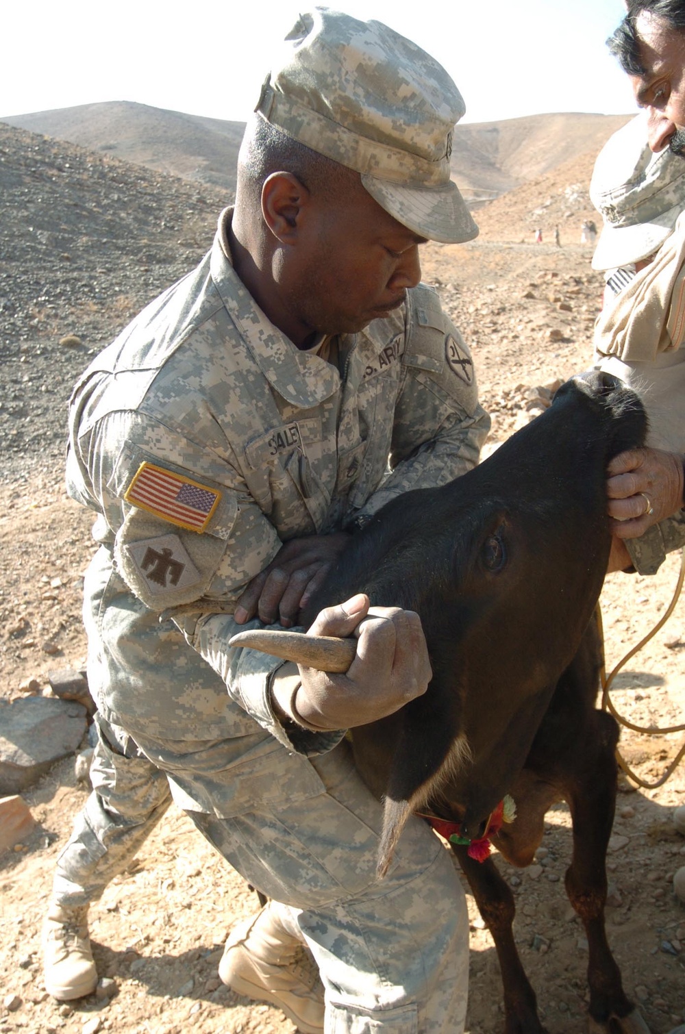 U.S. Troops Provide Medical Care to Afghans and Livestock During Outreach Visit