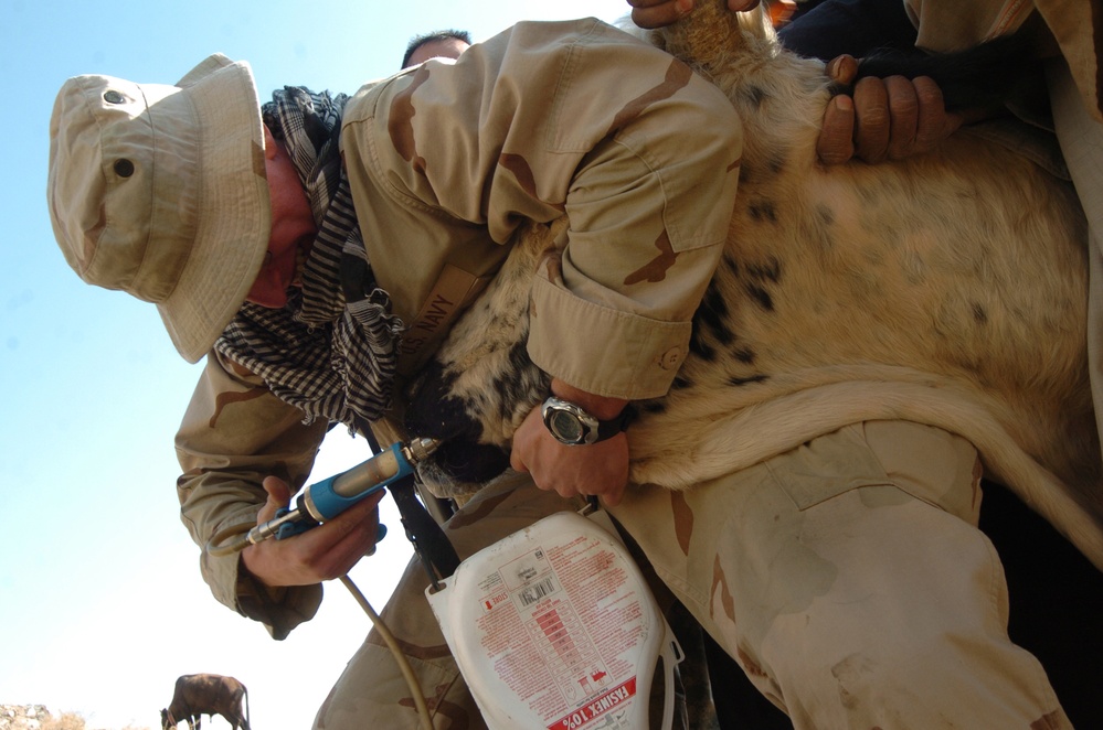 Civil Affairs Soldier Provides Deworming Treatment to Afghan Livestock