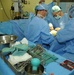 Army Surgeons Repair Honduran Patient's Hand Deformity in Medical Readiness Exercise