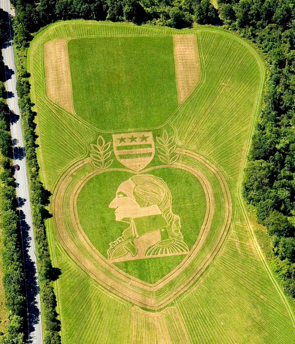 Field Artist Mows Purple Heart Medal Design into Orange County, N.Y. Landscape