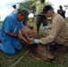U.S. Public Health Service Veterinarian Assists Nicaraguan Cow at Dos Potrillos Ranch