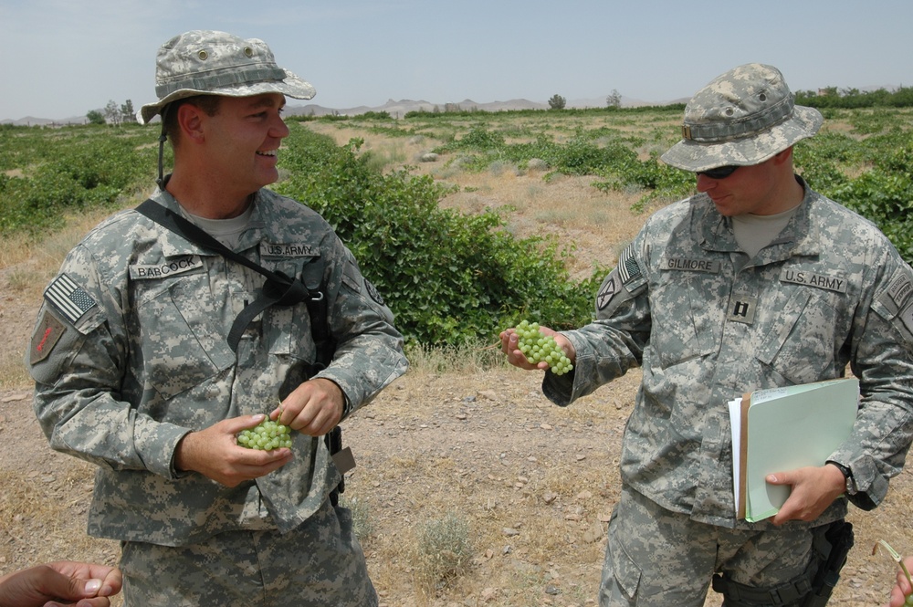 U.S. Army Officers Inspect Afghan Grape Crop at Agricultural Research Center