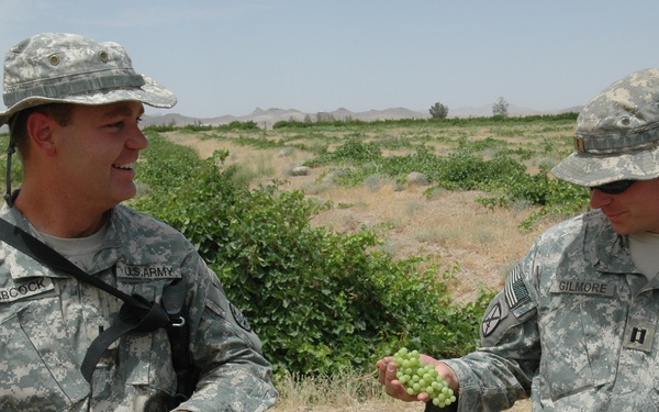 U.S. Army Officers Inspect Afghan Grape Crop at Agricultural Research Center