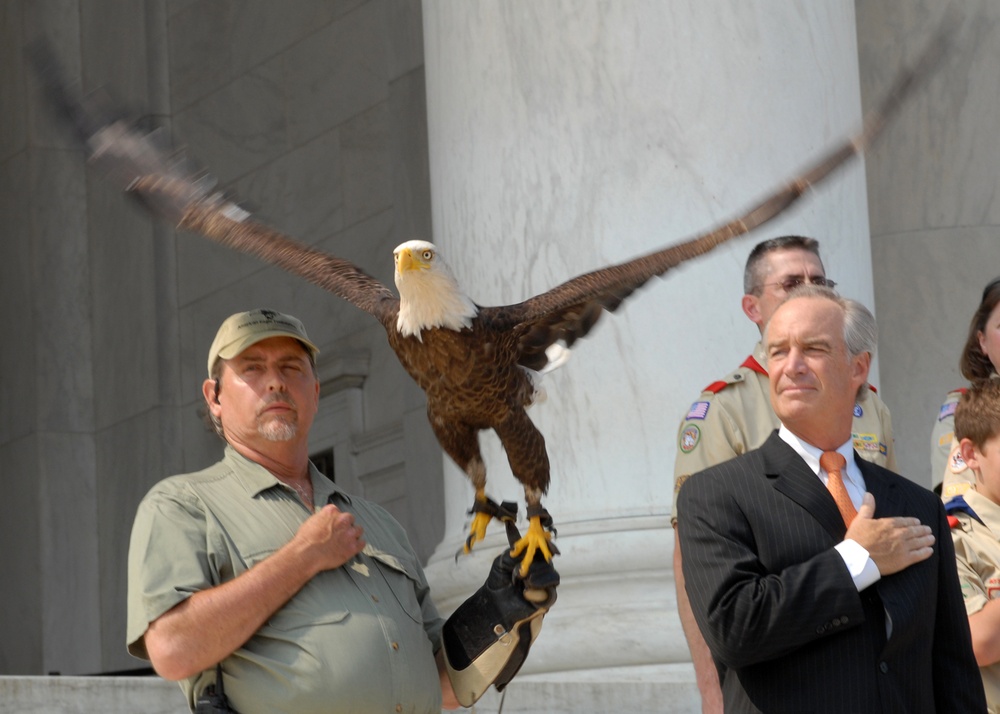 Bald Eagle Soars as Interior Secretary Honors Recovery Milestone
