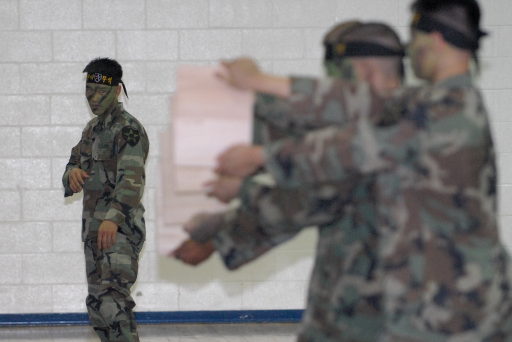 Soldier Demonstrates Tae Kwon Do Skills for Senior Enlisted Advisor