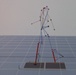 Motion Capture Technology Aids Rehabilitation Efforts
