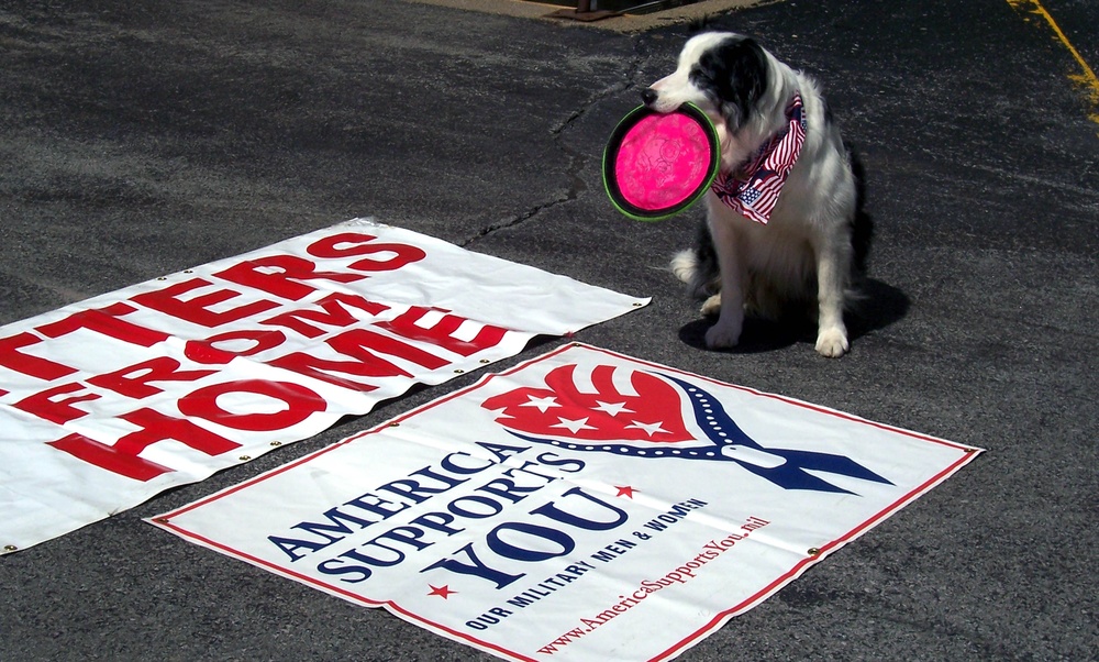 Patriotic Pup Supports Troops Through 'Letters From Home'