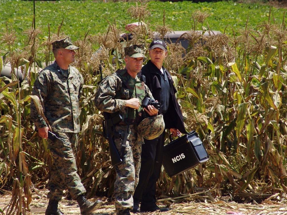 Mark Harmon and 'NCIS' Cast Film Episode with Mysterious Crop Circle