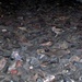 Haunting Remnants of Nazi Atrocities: Shoes from Majdanek Concentration Camp Preserve Memories of the Holocaust