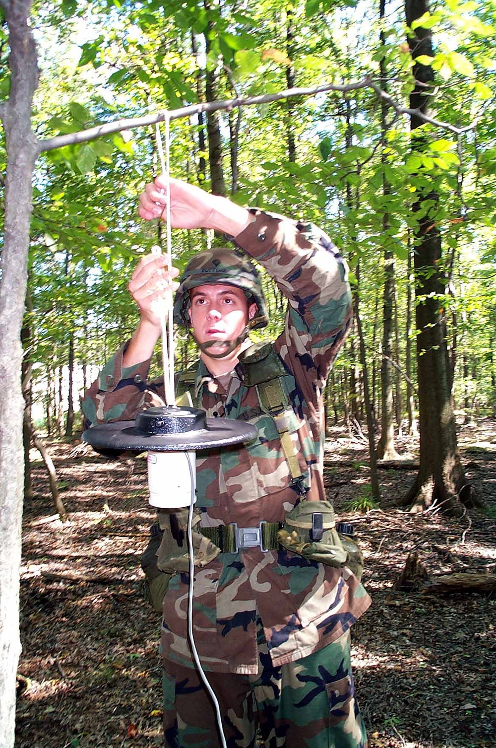 Army Specialist Monitors Mosquitoes for Disease Transmission