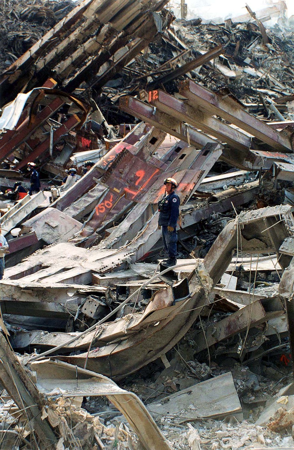 Recovery Worker Surveys Wreckage at Ground Zero