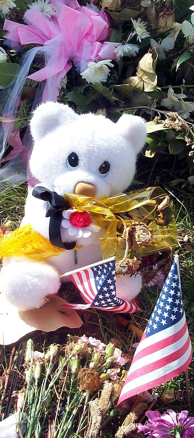 Teddy Bears Left at 9/11 Pentagon Memorial