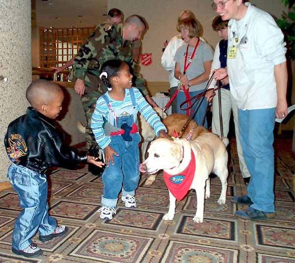 Therapy Dogs Bring Joy to Military Families at DoD Assistance Center