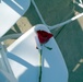 Roses Left at Pentagon 9/11 Memorial Service