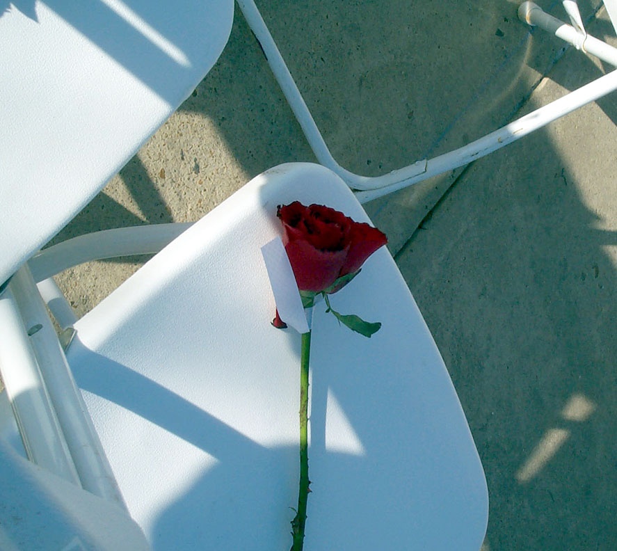 Roses Left at Pentagon 9/11 Memorial Service