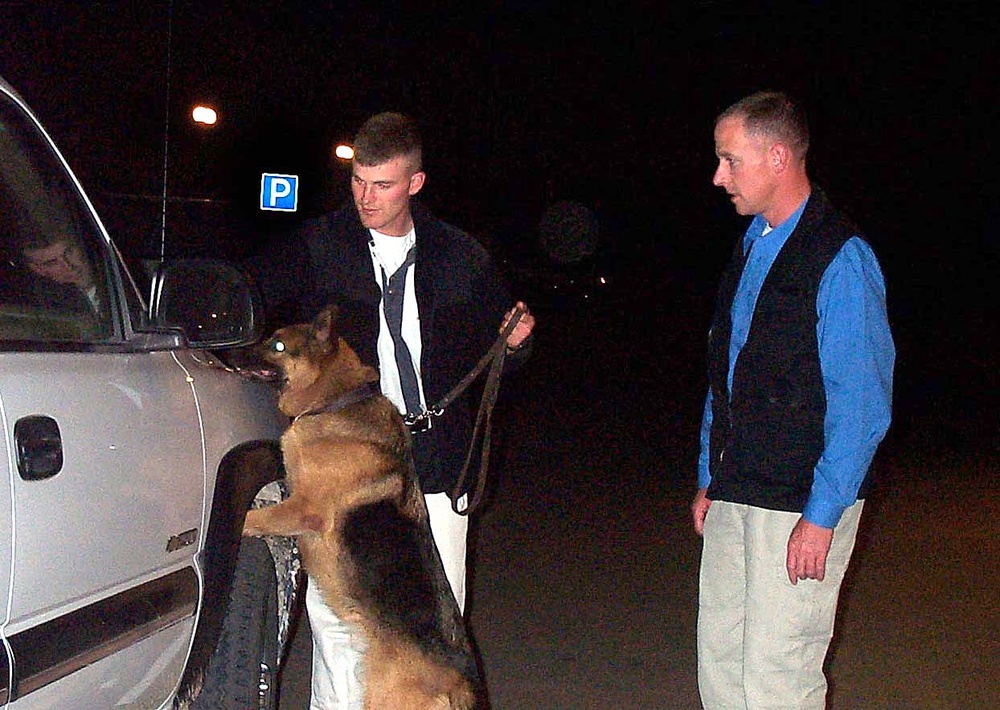 Air Force, Navy Team Up for Explosive Detection at Kyrgyzstan Base