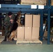 Army Dog Sniffs Out Explosives During Training Exercise