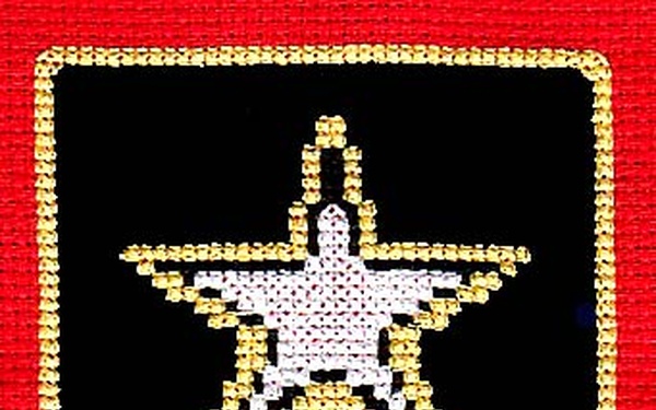 Volunteer Project Honors Victims of Terrorism with Memorial Flag