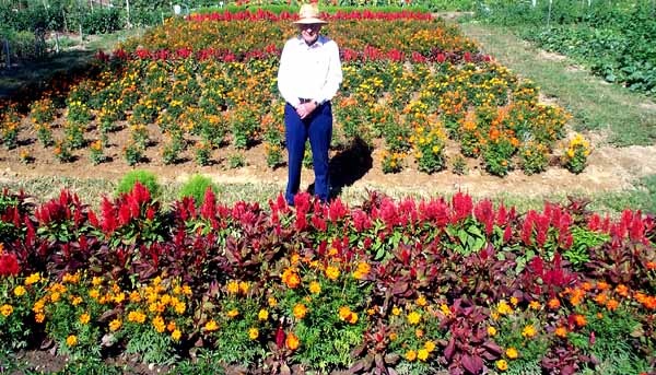 Retired Air Force Veteran Cultivates Award-Winning Flower Garden