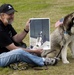 Vietnam War Dog Handler Honors Fallen Comrades at Memorial