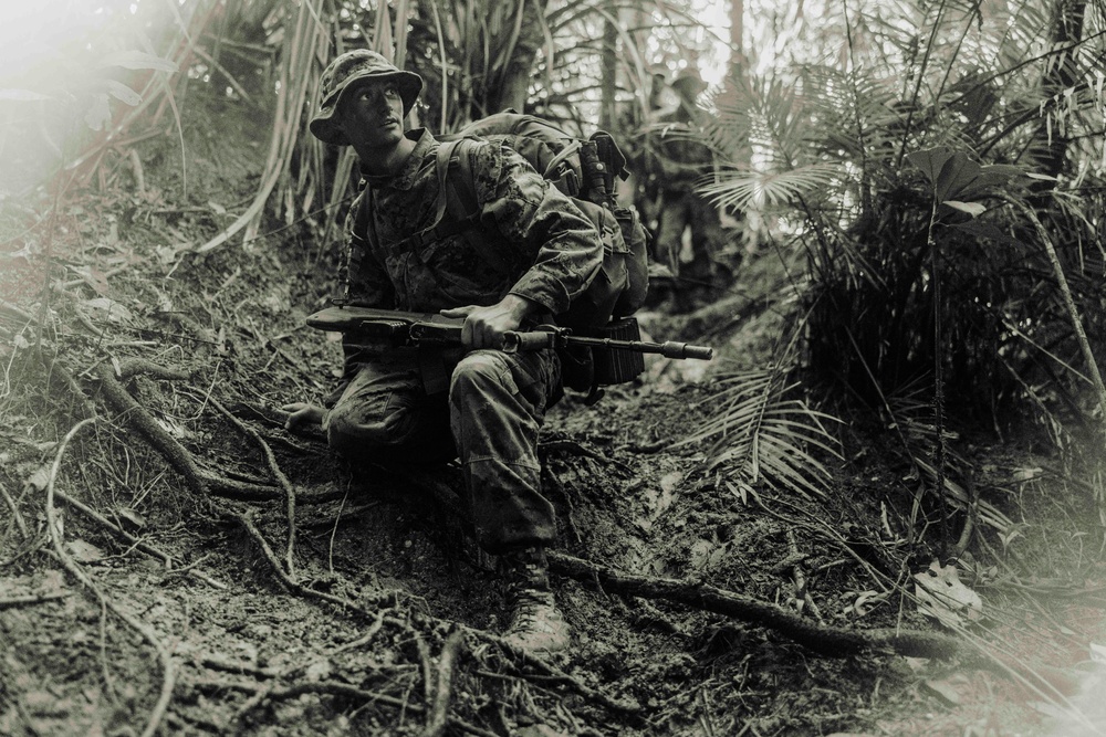 MRF-D 25.3: 3rd Bn., 11th Marines, trains in jungle warfare tactics
