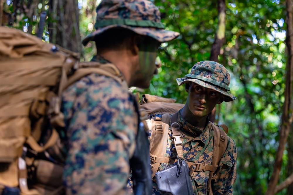 MRF-D 25.3: 3rd Bn., 11th Marines, trains in jungle warfare tactics