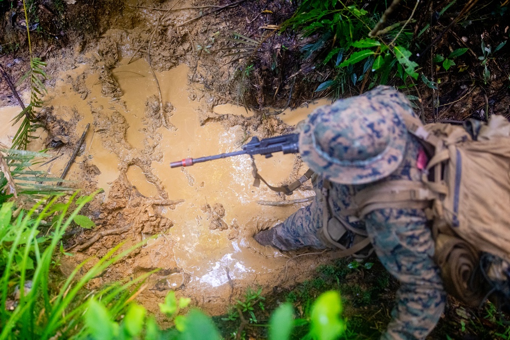 MRF-D 25.3: 3rd Bn., 11th Marines, trains in jungle warfare tactics