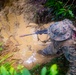 MRF-D 25.3: 3rd Bn., 11th Marines, trains in jungle warfare tactics