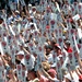 Patriotic Fans Show Support for Troops at Indy 500