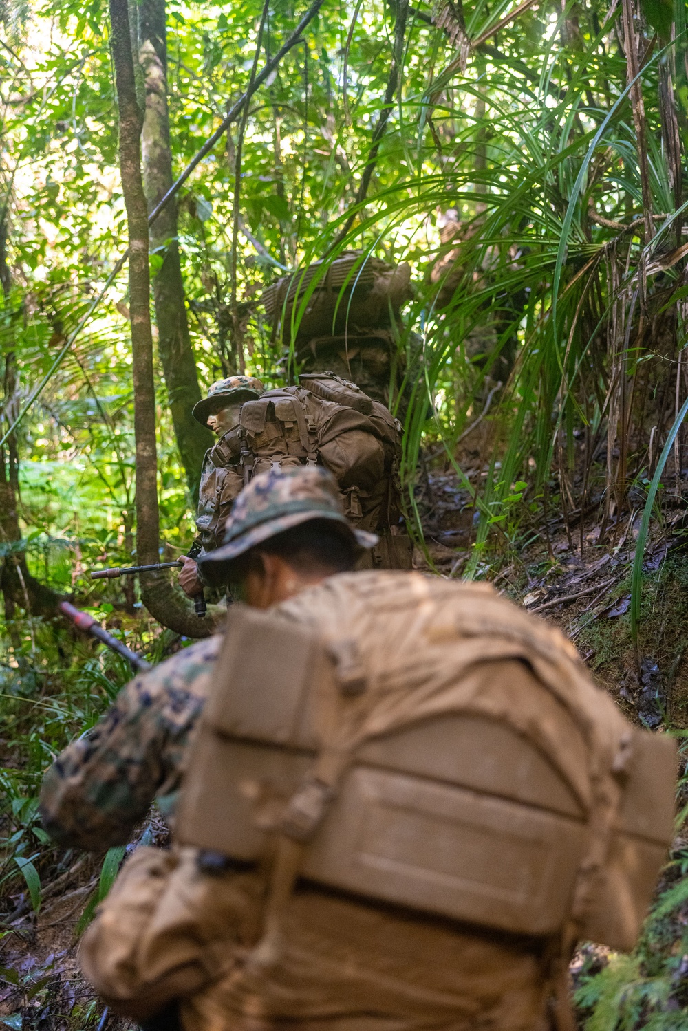 MRF-D 25.3: 3rd Bn., 11th Marines, trains in jungle warfare tactics