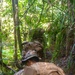 MRF-D 25.3: 3rd Bn., 11th Marines, trains in jungle warfare tactics