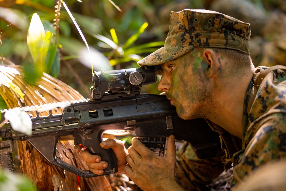 MRF-D 25.3: 3rd Bn., 11th Marines, trains in jungle warfare tactics