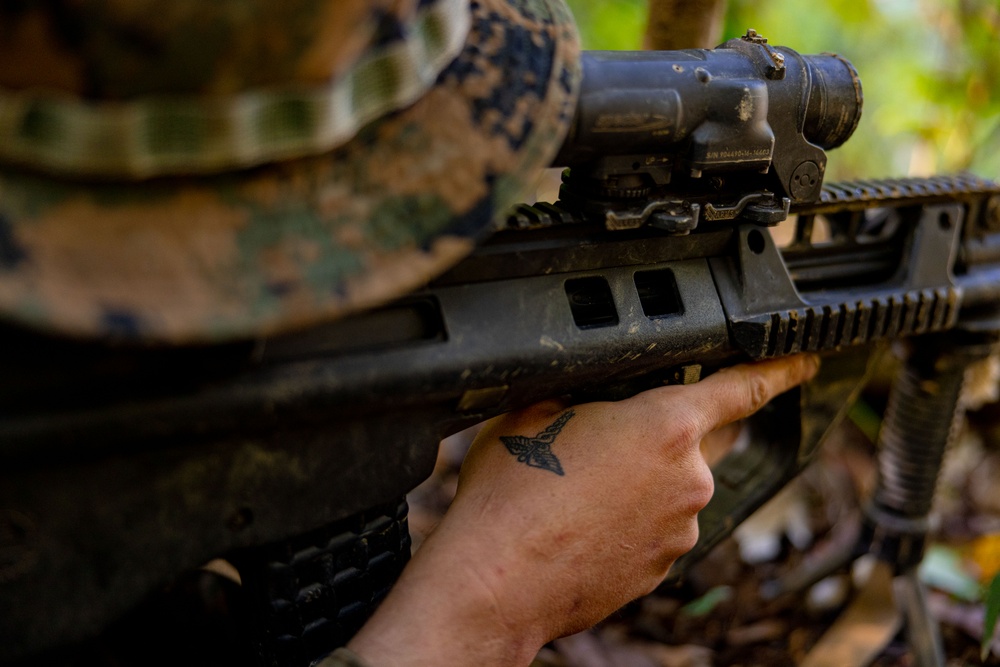 MRF-D 25.3: 3rd Bn., 11th Marines, trains in jungle warfare tactics