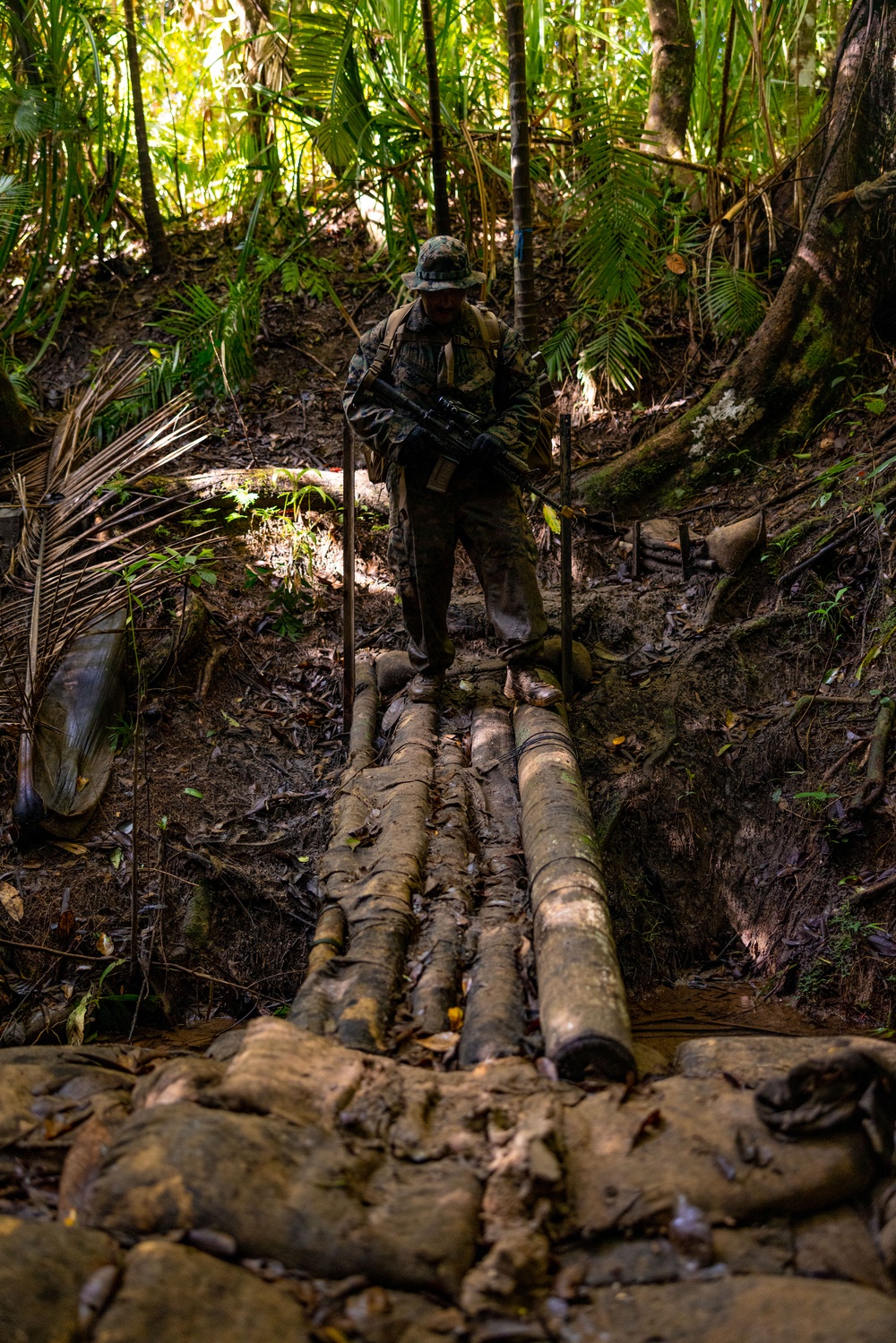 MRF-D 25.3: 3rd Bn., 11th Marines, trains in jungle warfare tactics